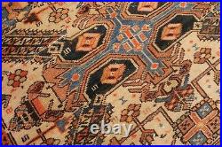 Caucasian Zeichor Rug Ca 1910