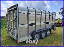 IFOR WILLIAMS TA510G3-14 Tri-Axle 14ft Livestock trailer, 2011 sheep decks