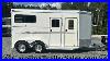 Like_New_2007_Adam_Julite_2_Horse_Trailer_With_Rear_Ramp_Immaculate_01_iip